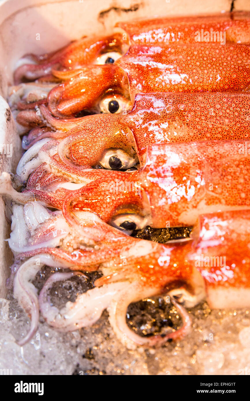 Tsukiji fish market in Tokyo, Japan Stock Photo Alamy