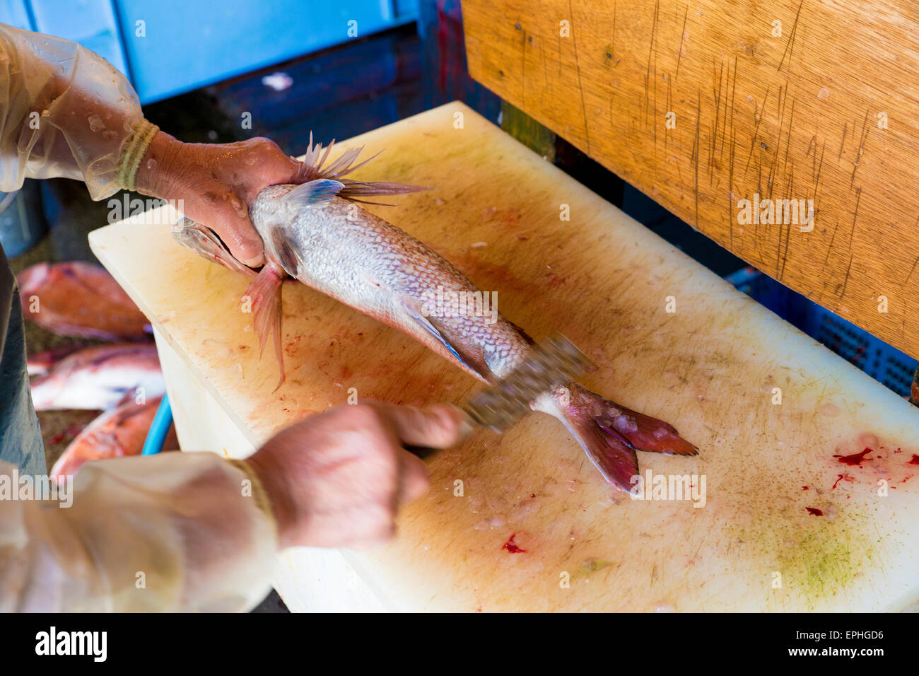 Tsukiji fish market in Tokyo, Japan Stock Photo