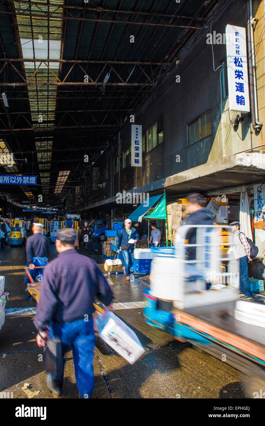Tsukiji fish market in Tokyo, Japan Stock Photo - Alamy