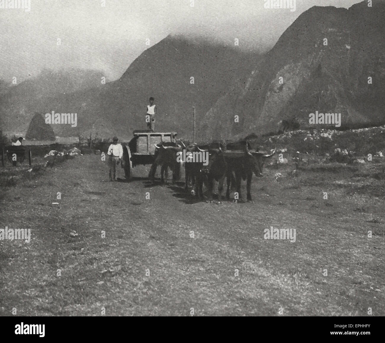 Freighting between Kalaupapa and Kalawao at the Leper Colony on Molokai, Hawaii, circa 1915 Stock Photo