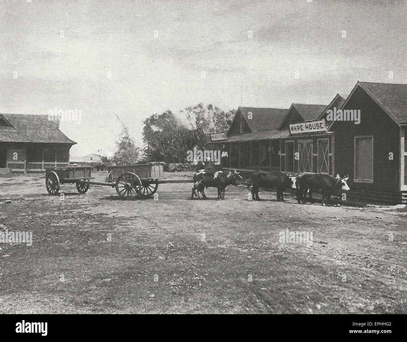Visitor's compound, at left, General Store and Warehouse at Kalaupapa, Leper Colony on Molokai Island, circa 1915 Stock Photo
