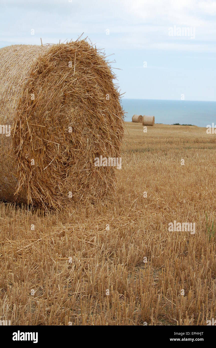 Fleming field hires stock photography and images Alamy