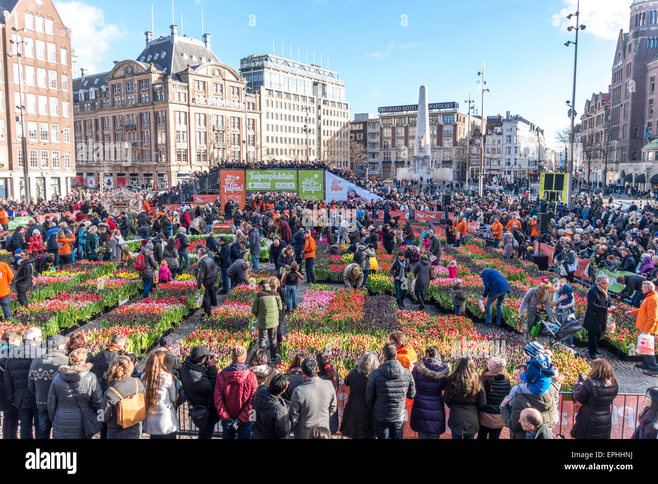 Amsterdam National Tulip Day 10.000 visitors pick 200.000 tulips for