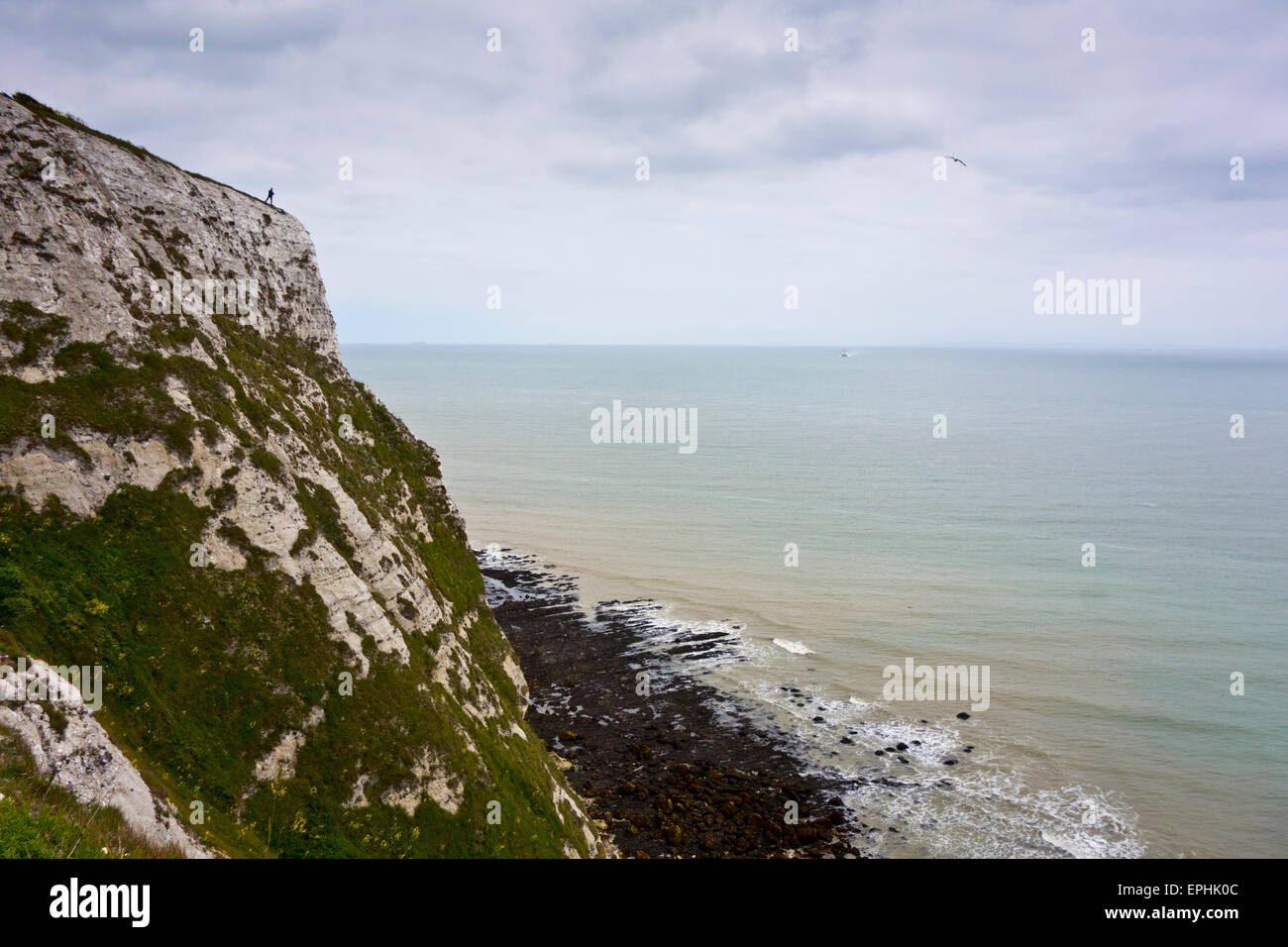 White chalk cliffs of Dover Langdon bay cliffs Stock Photo Alamy