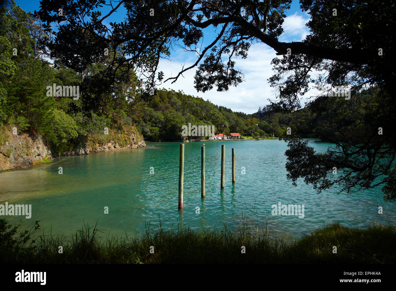 Omaha Cove, Leigh, North Auckland, North Island, New Zealand Stock Photo