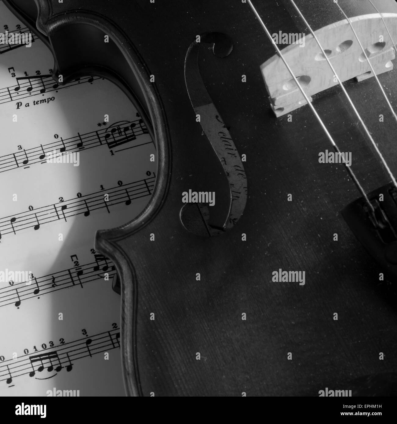 classic black and white violin Stock Photo