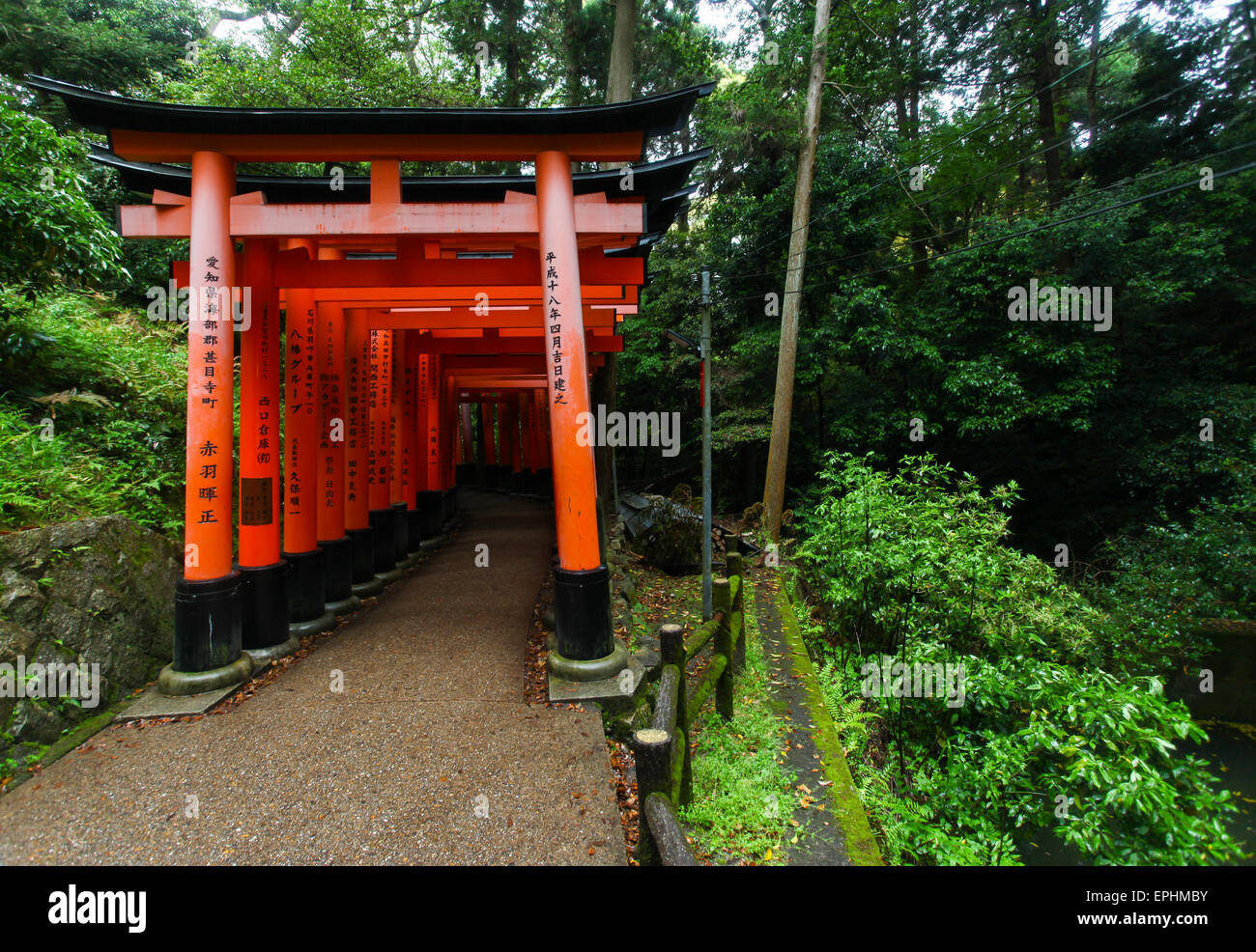 Torii gates at Fushimi Inari-Taish shrine in Kyoto Japan Stock Photo ...