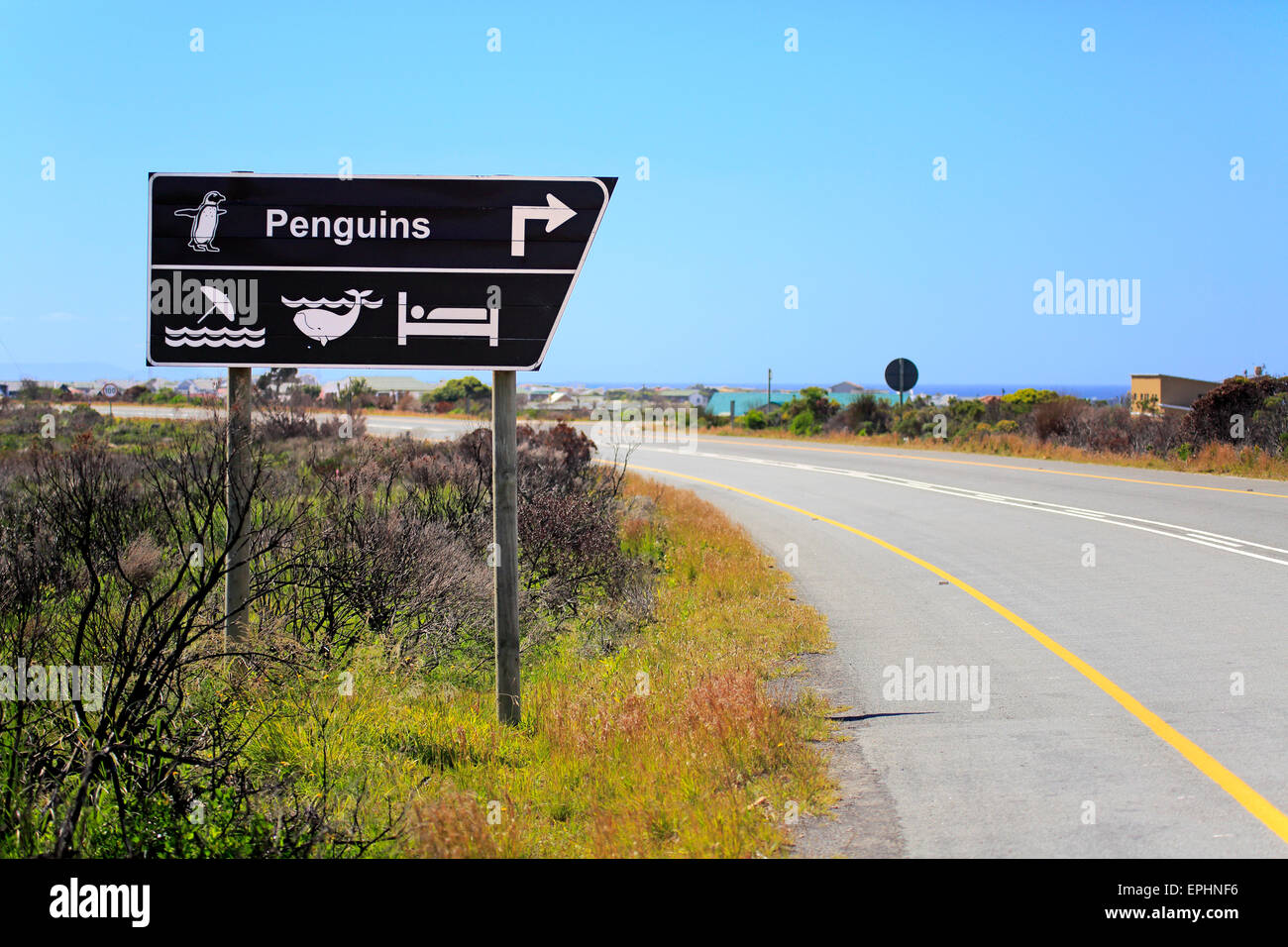 Direction signs, penguins and whale watching, Betty's Bay, Western Cape, South Africa Stock Photo