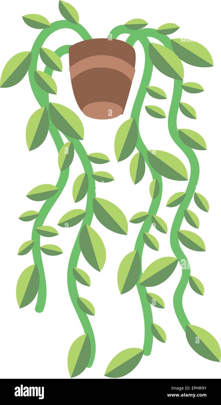 Vector illustration of plant in a pot, isolated over white background. Nature concept. Stock Vector