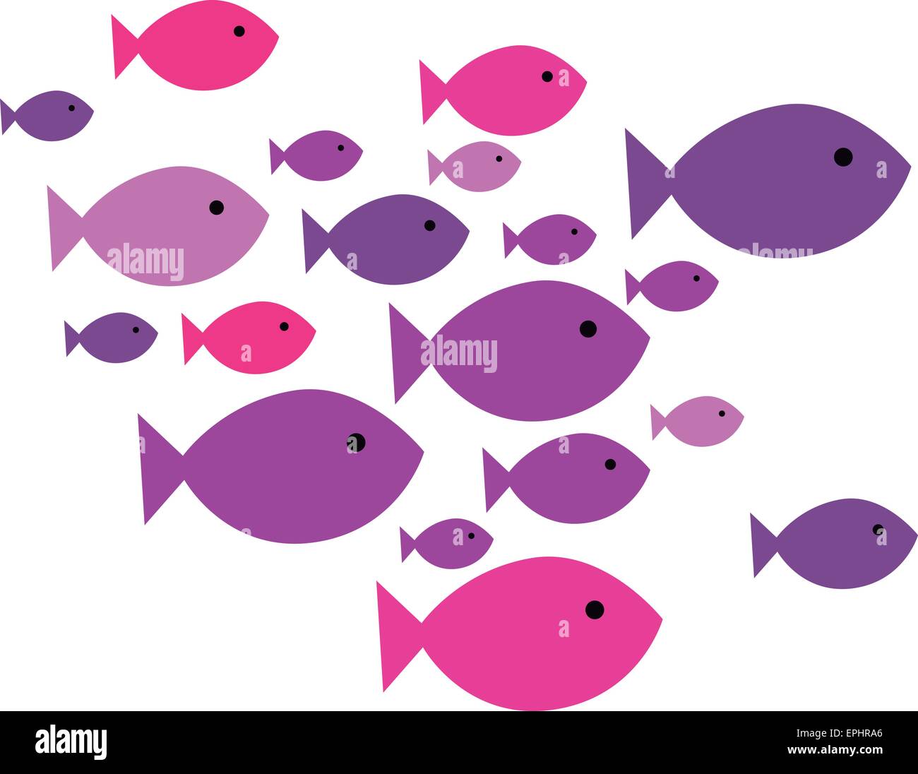 Vector illustration of pink and purple fish swimming over white background Stock Vector