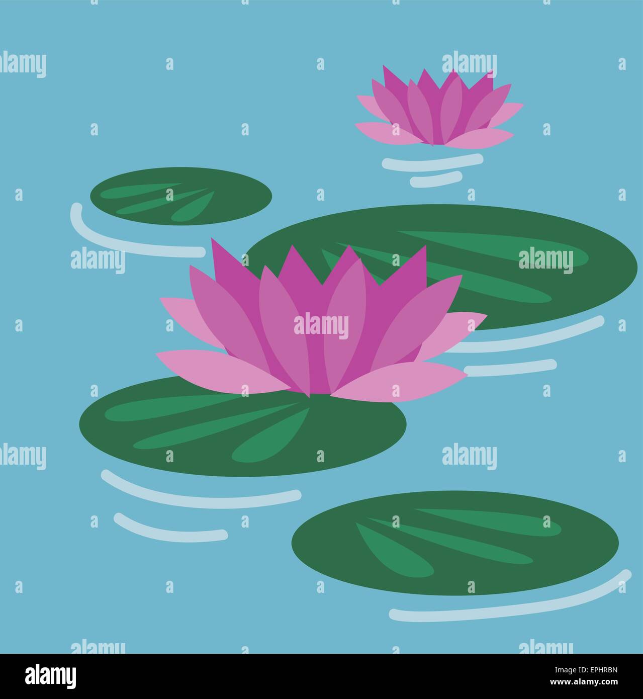 Vector illustration of lily pads with pink flowers, above the water Stock Vector