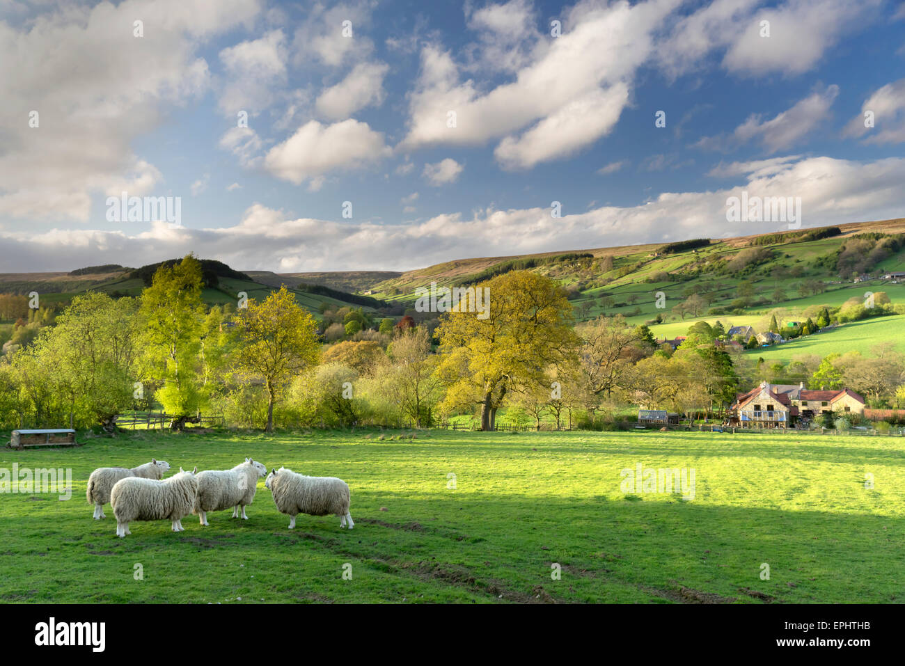 Rosedale Abbey, The North Yorkshire Moors, England, May 2015 Stock Photo