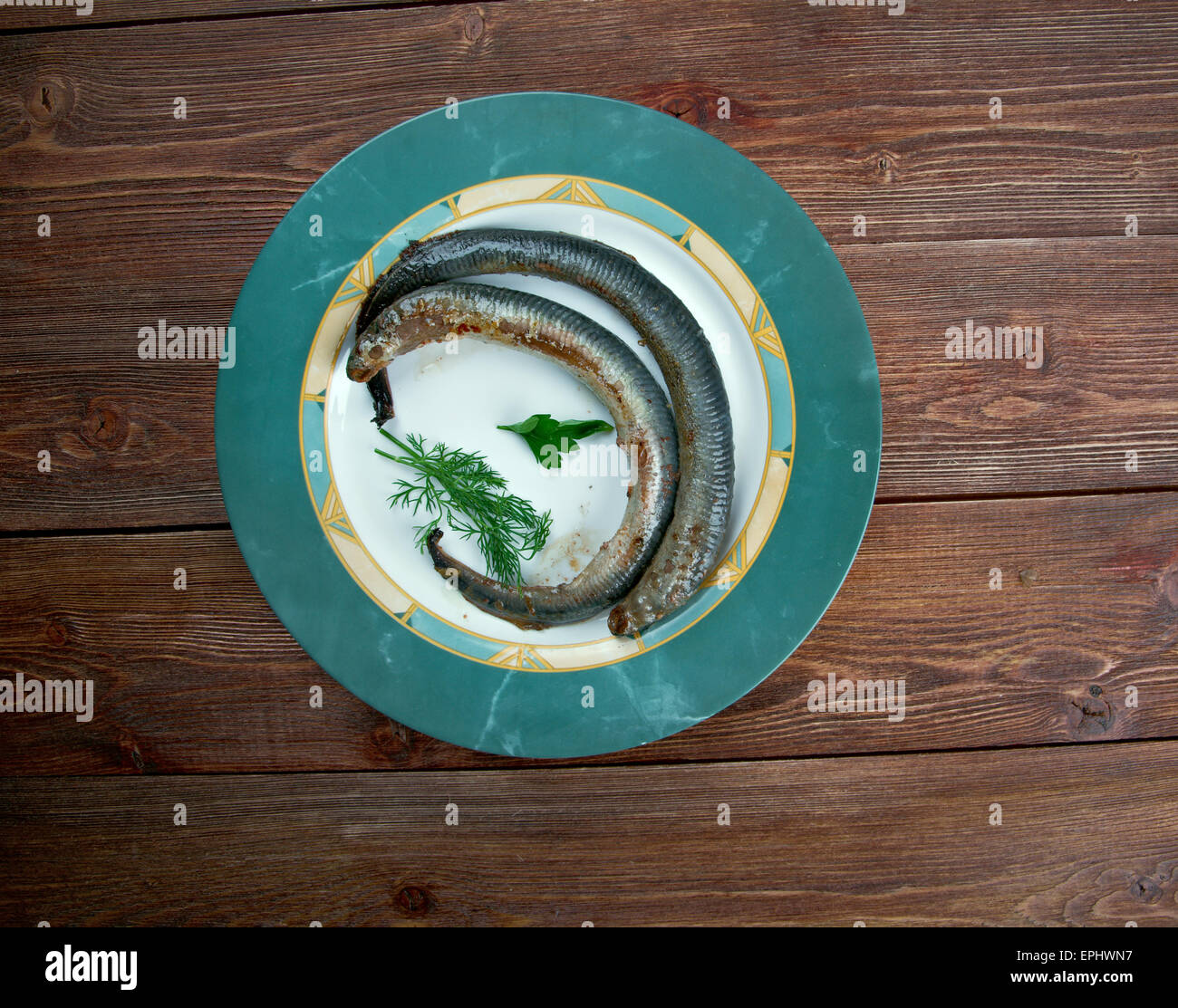 Lamprey fish hi-res stock photography and images - Page 2 - Alamy