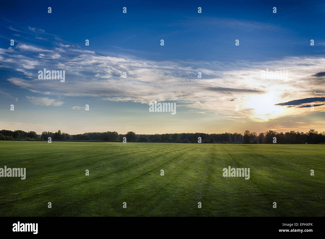 green field grass background Stock Photo Alamy