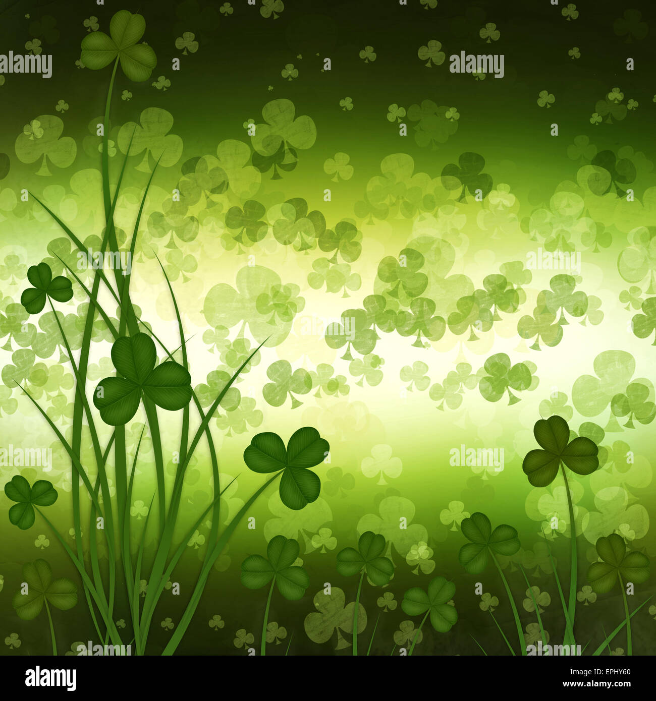 Irish wallpaper frame hi-res stock photography and images - Page 2 - Alamy, image size:1300x1390
