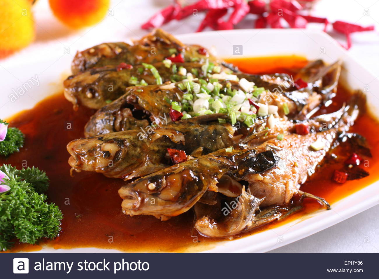 Yellow Catfish Stock Photos & Yellow Catfish Stock Images Alamy