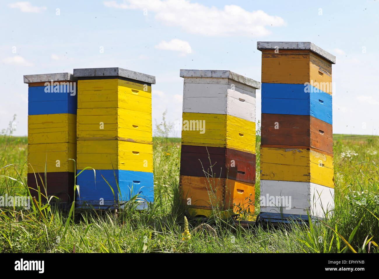 Colourful bee hives hi-res stock photography and images - Alamy