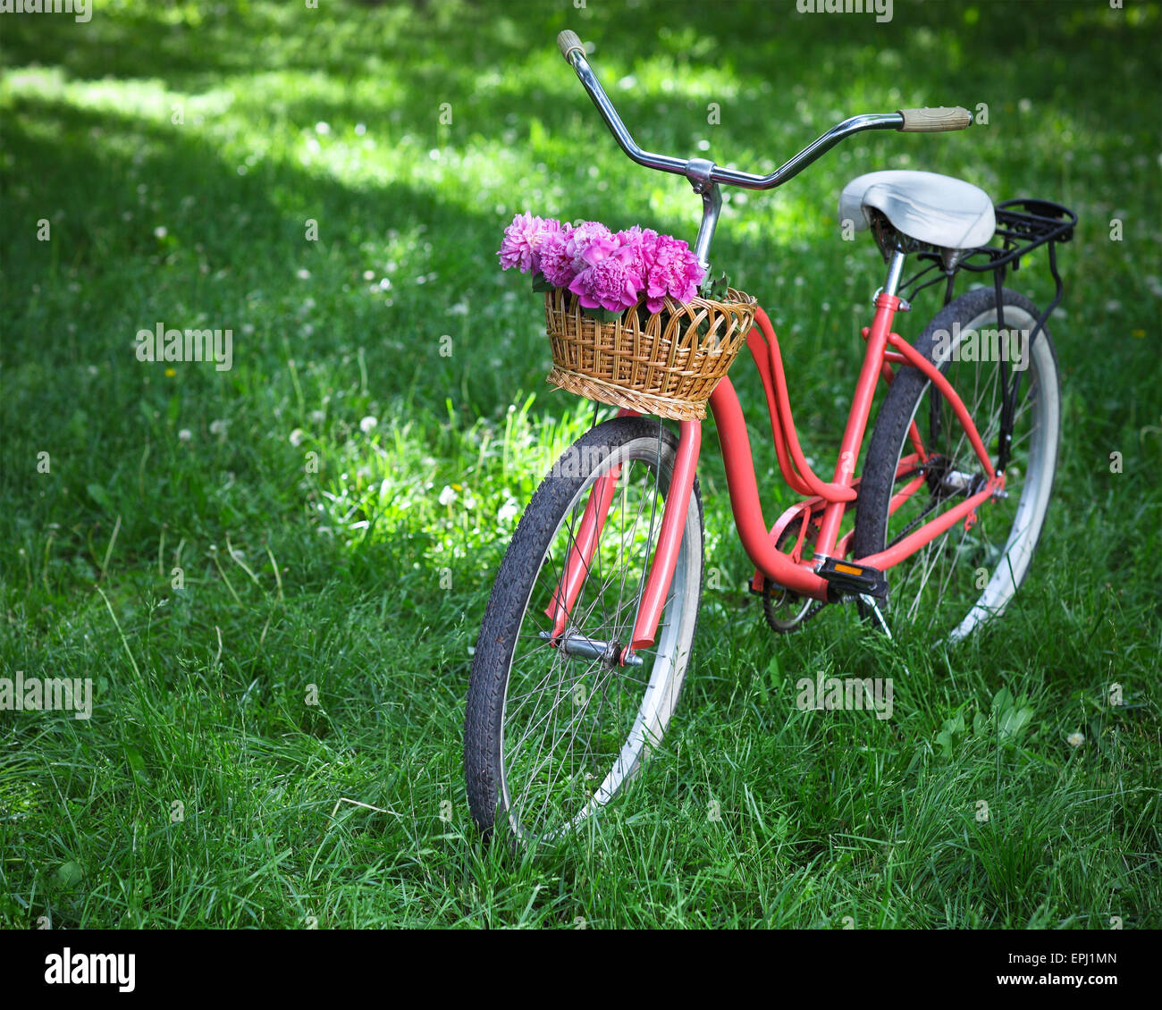 Vintage bicycle with basket with peony flowers Stock Photo Alamy
