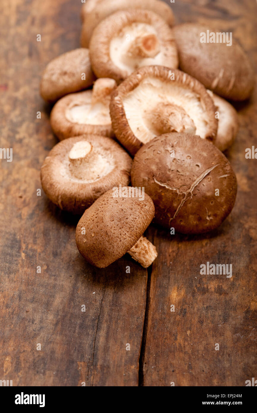 shiitake mushrooms Stock Photo