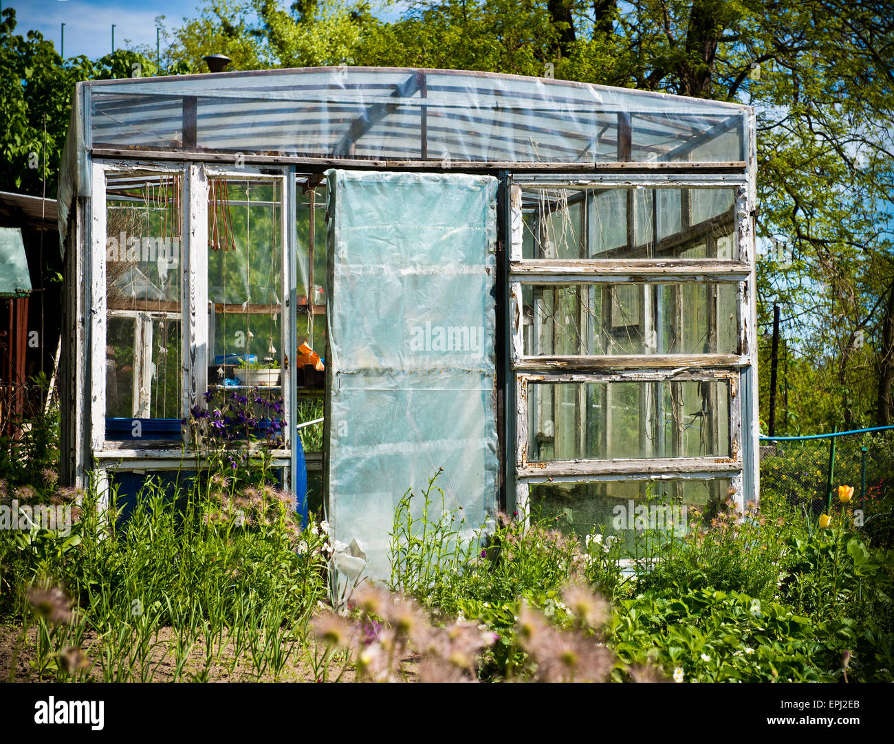 Plastic tunnel with plants in front of it. Ideal example of plasticulture. Stock Photo
