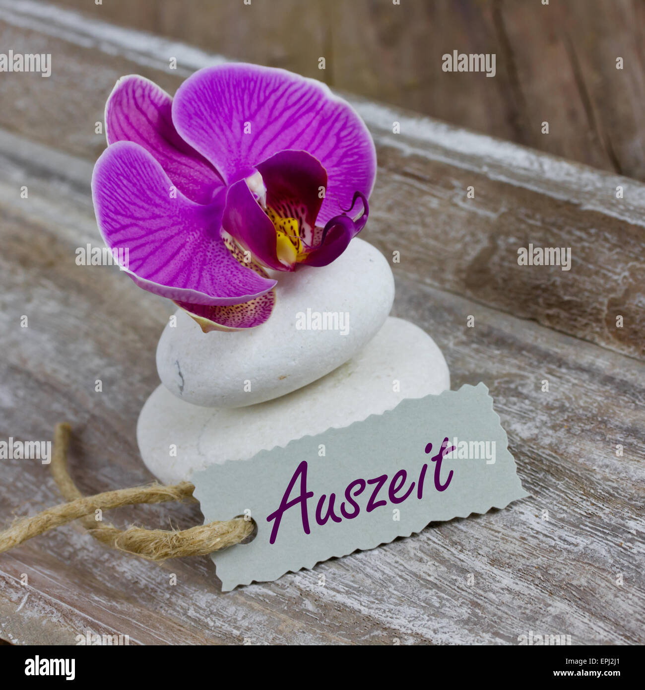 coupon with orchid Stock Photo Alamy