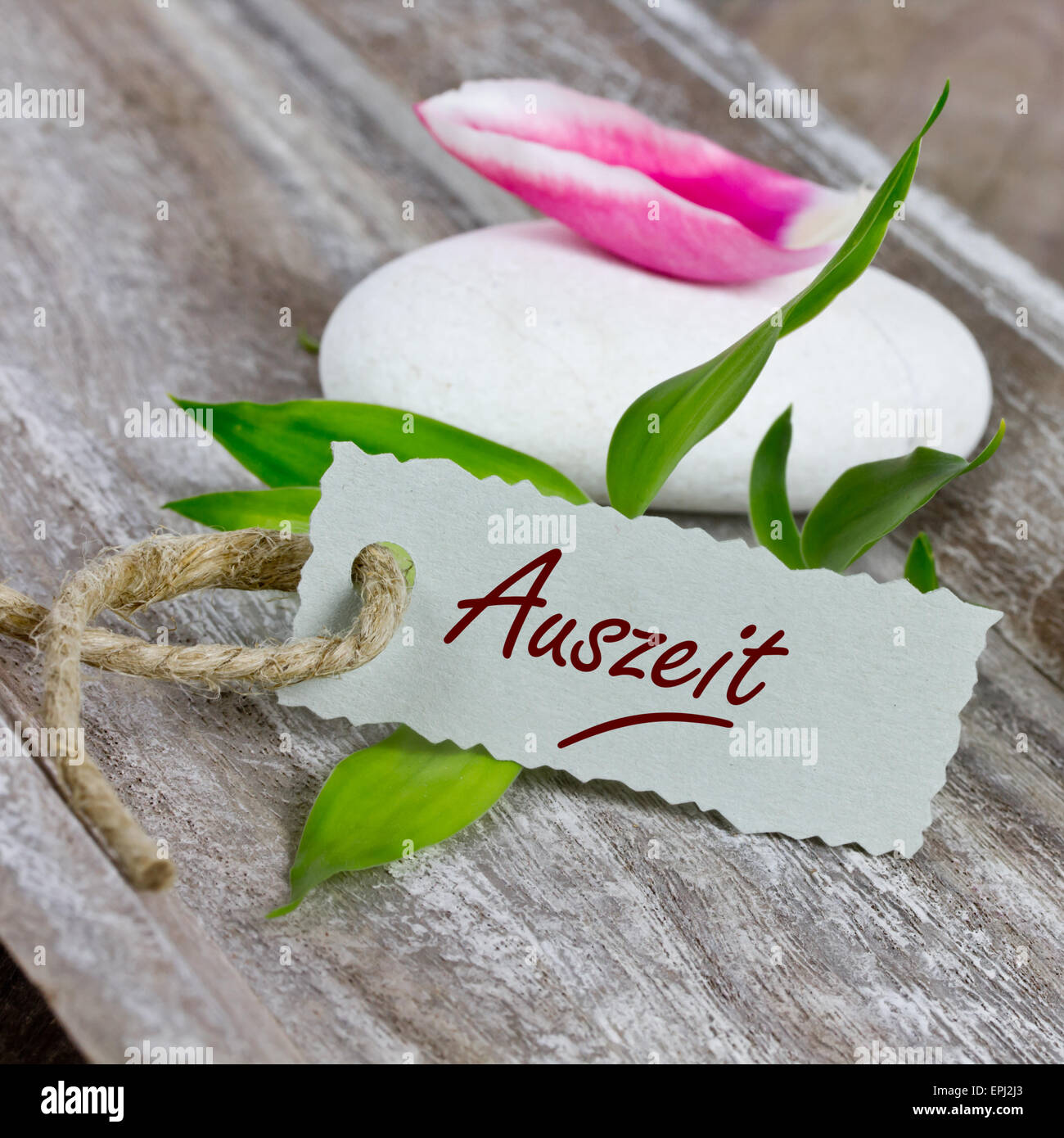 coupon with orchid Stock Photo Alamy