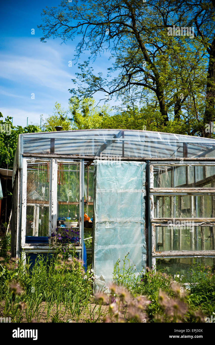 Plastic tunnel with plants in front of it. Ideal example of plasticulture. Stock Photo