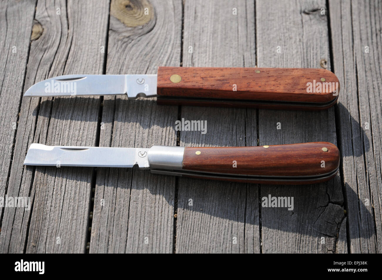 Grafting knives Stock Photo