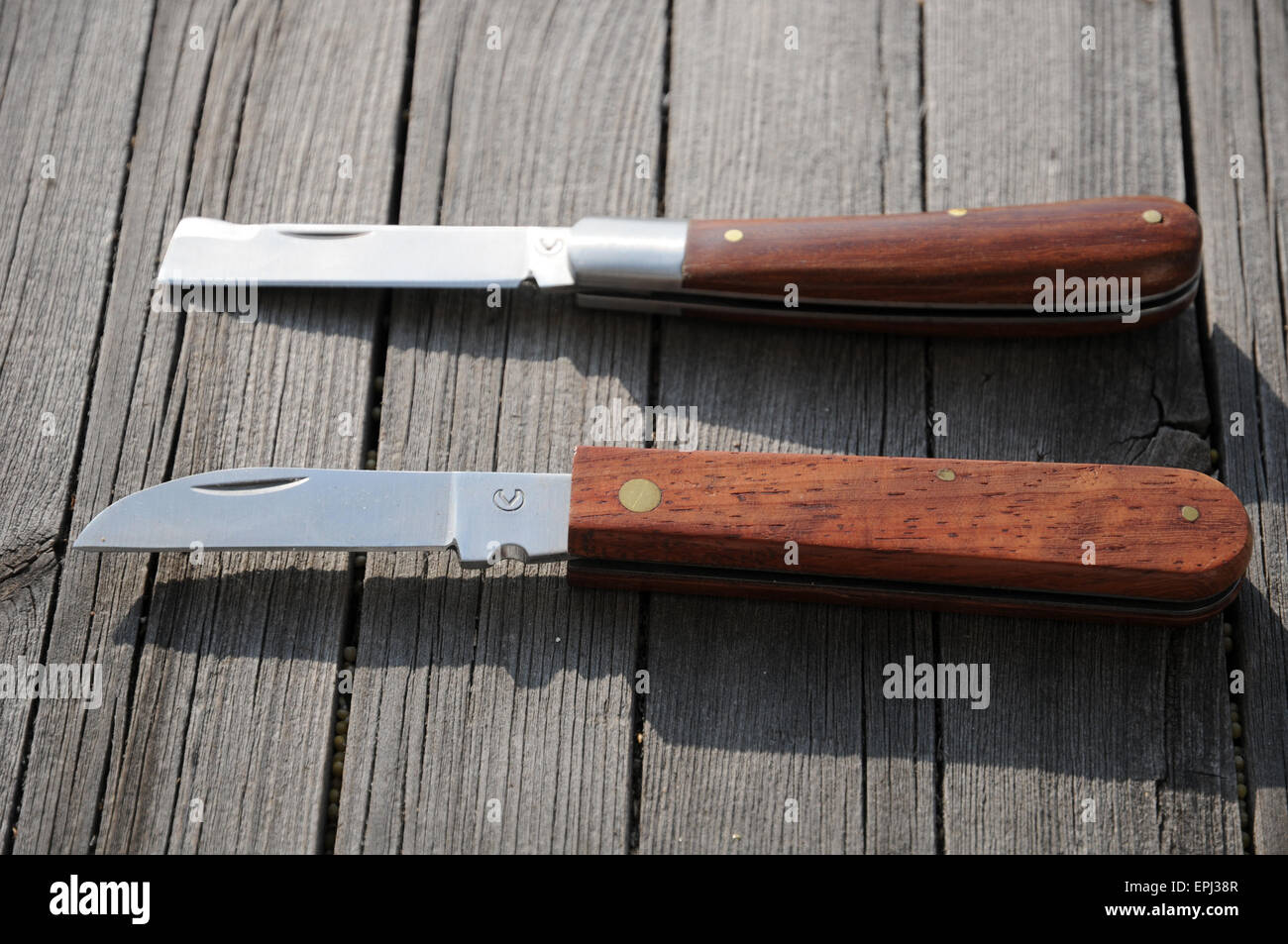 Grafting knives Stock Photo