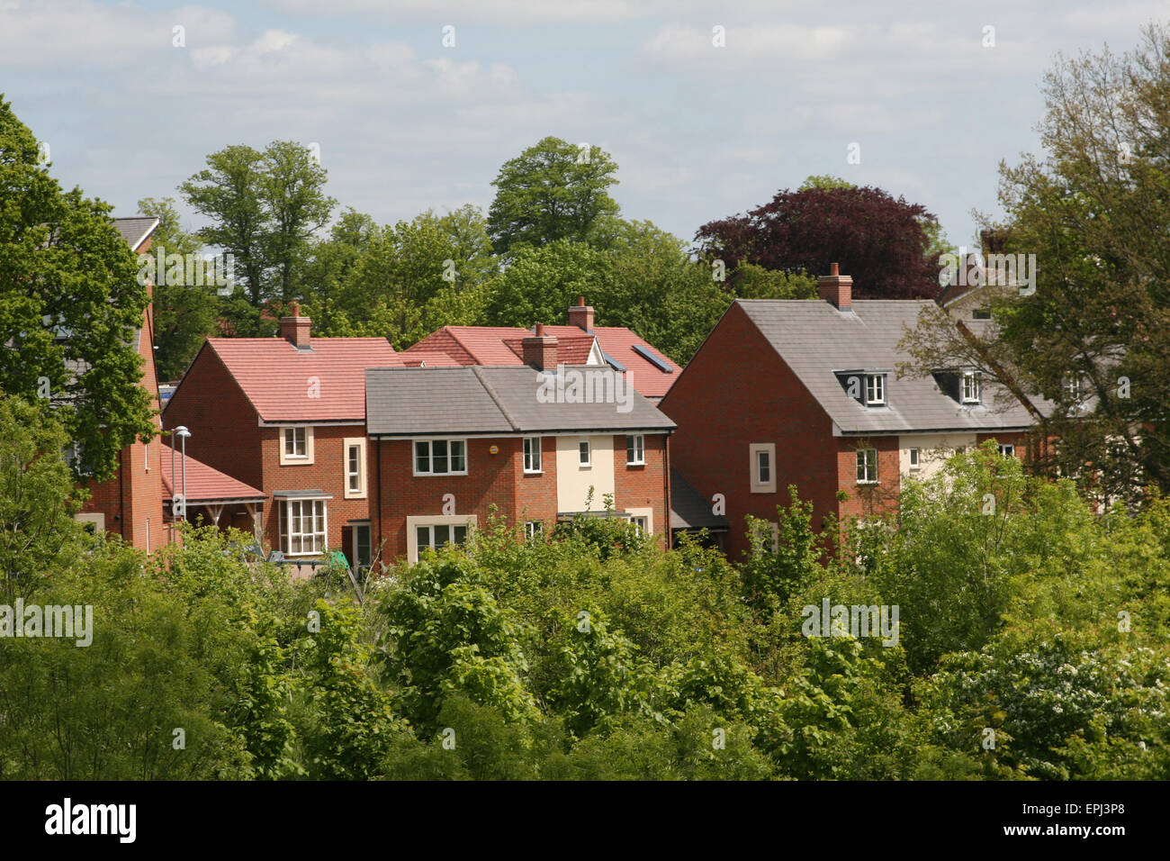 TAYLOR WIMPEY HOUSING ESTATE ASHFORD KENT Stock Photo Alamy