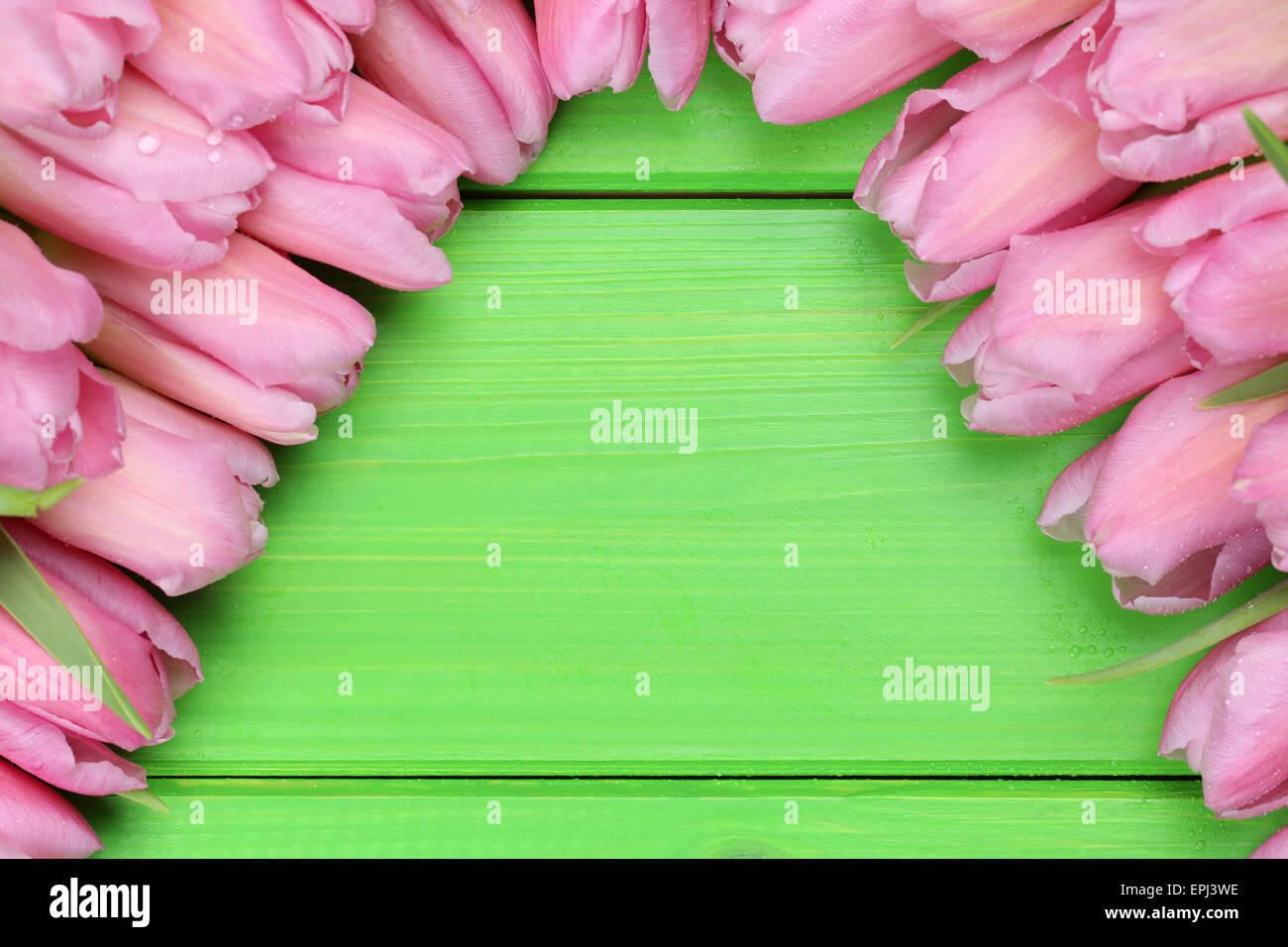 Tulpen Blumen auf Holzbrett zum Frühling oder Muttertag mit Textfreiraum Stock Photo