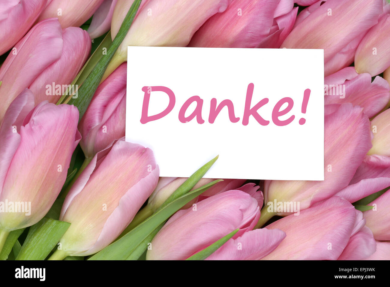Danke Geschenk Karte mit Tulpen Blumen Stock Photo - Alamy