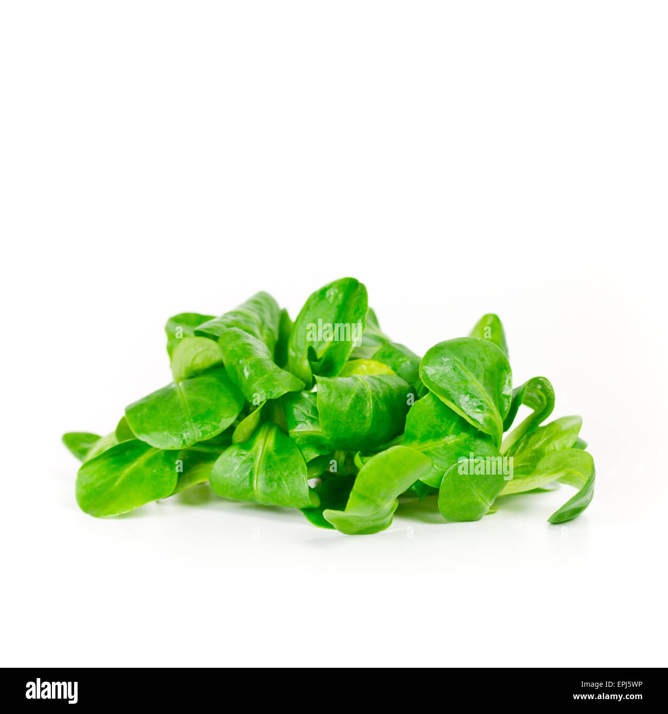 salad Stock Photo