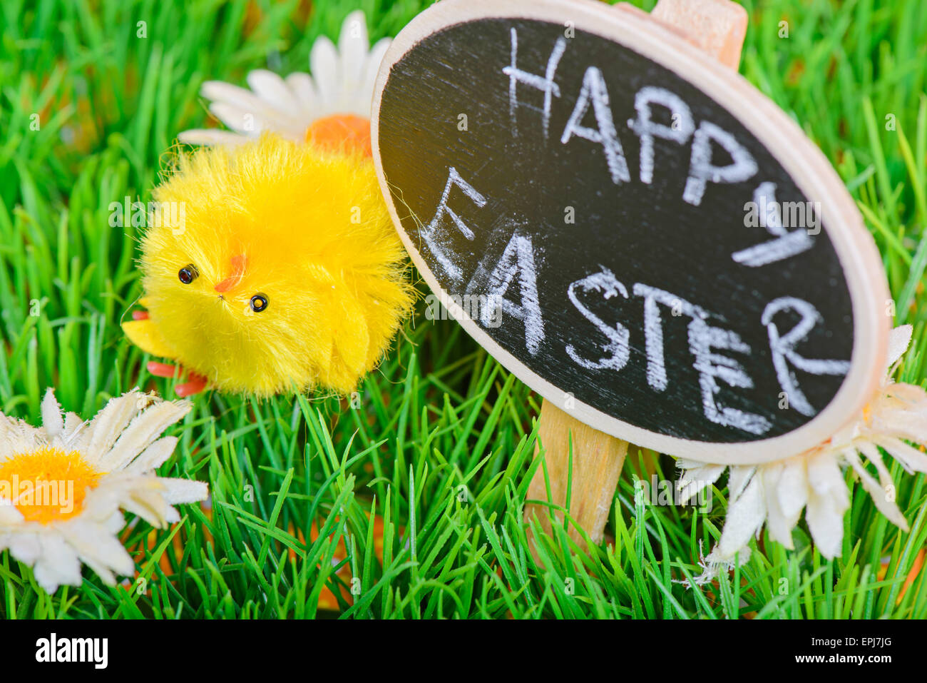 Small easter chicken on the grass Stock Photo