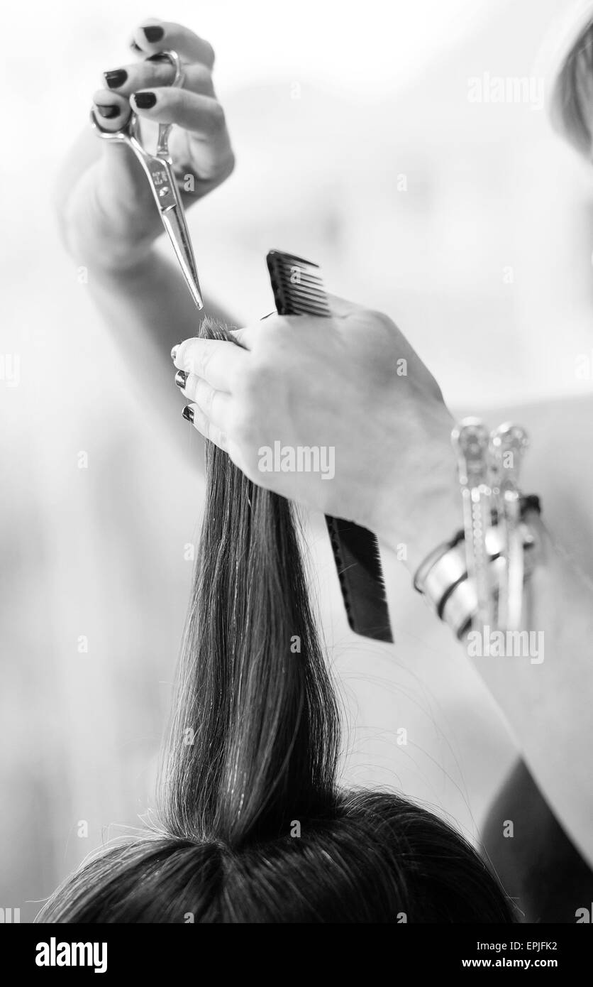 hairstylist cutting hair of female customer detail Stock Photo