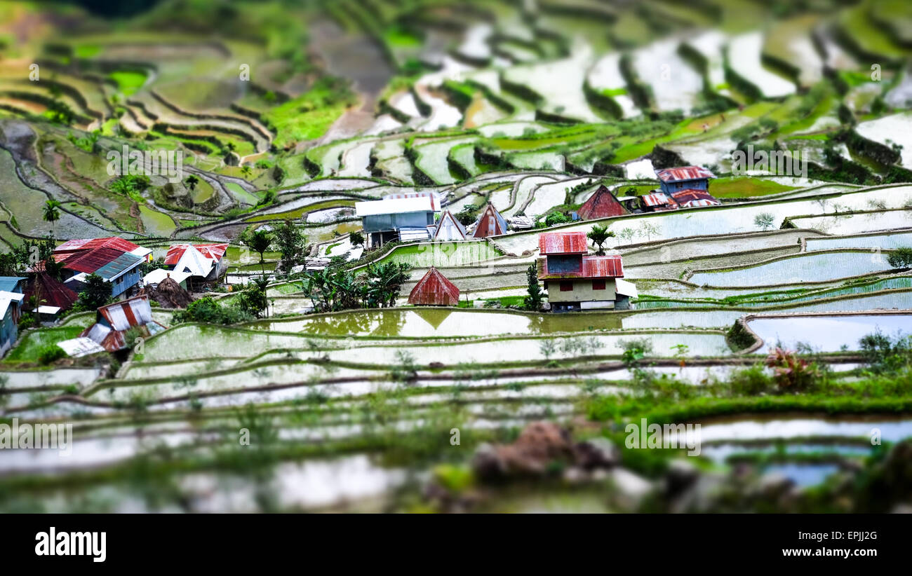 Amazing tilt shift effect view of rice terraces fields and village houses in Ifugao province mountains. Banaue, Philippines UNES Stock Photo