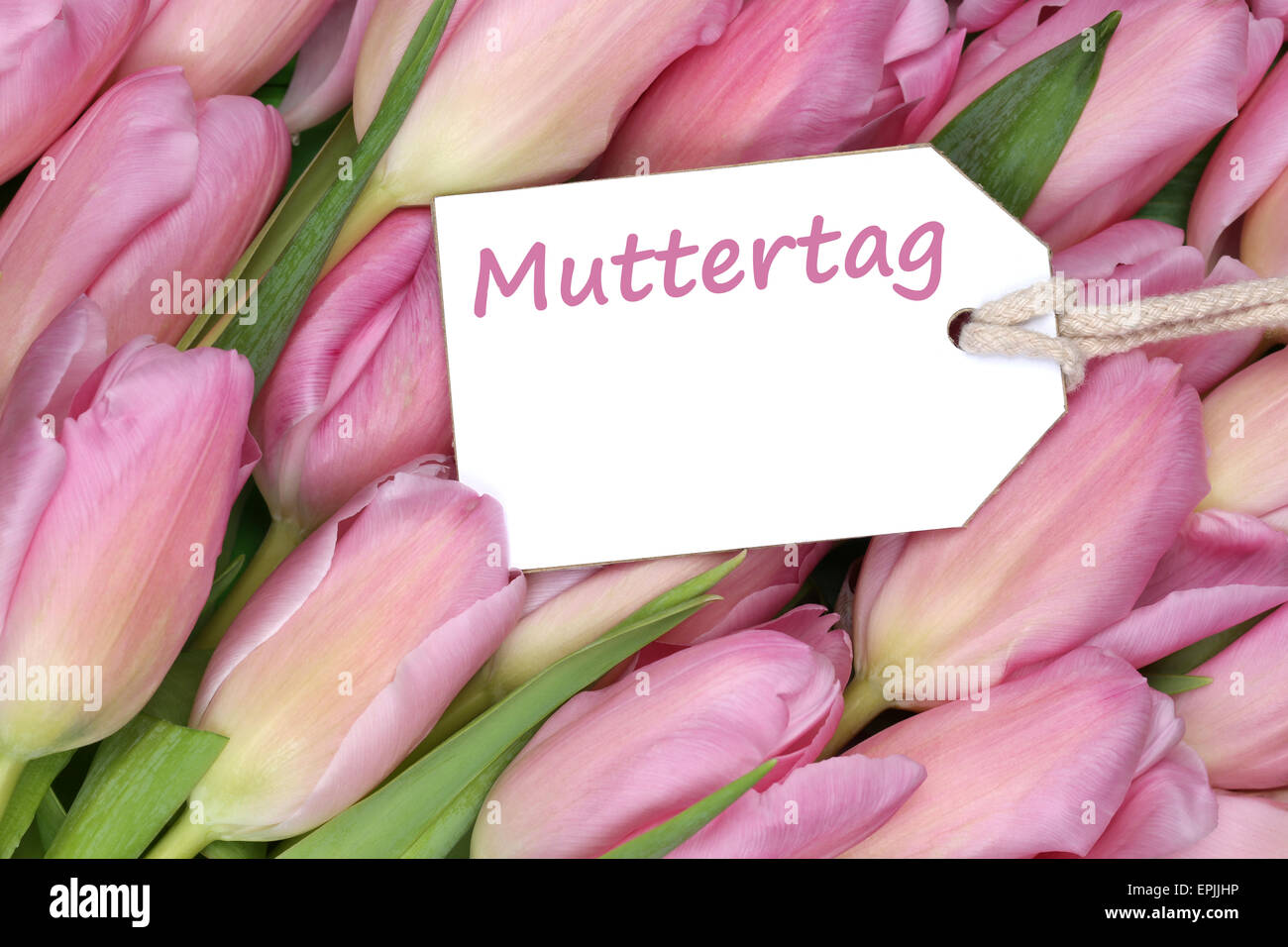 Tulpen Blumen zum Muttertag mit Etikett und Textfreiraum Stock Photo