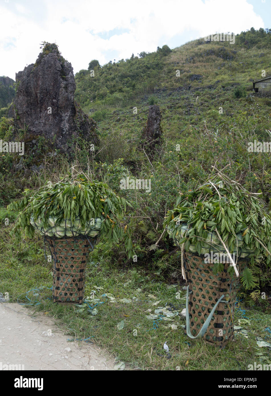 Native transport baskets Stock Photo Alamy