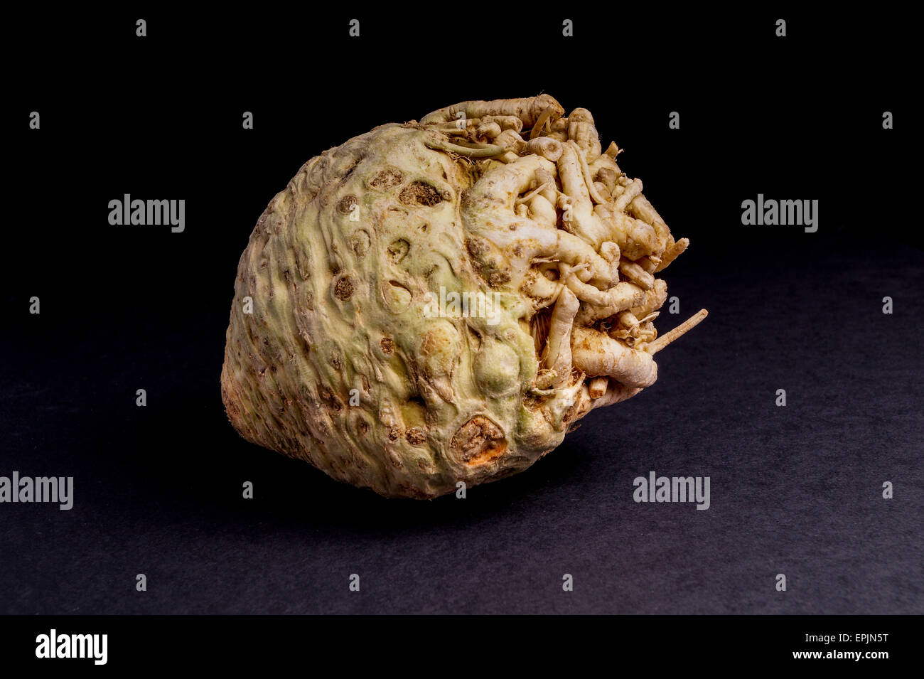 Fresh Healthy Organic celeriac isolated on Black Stock Photo