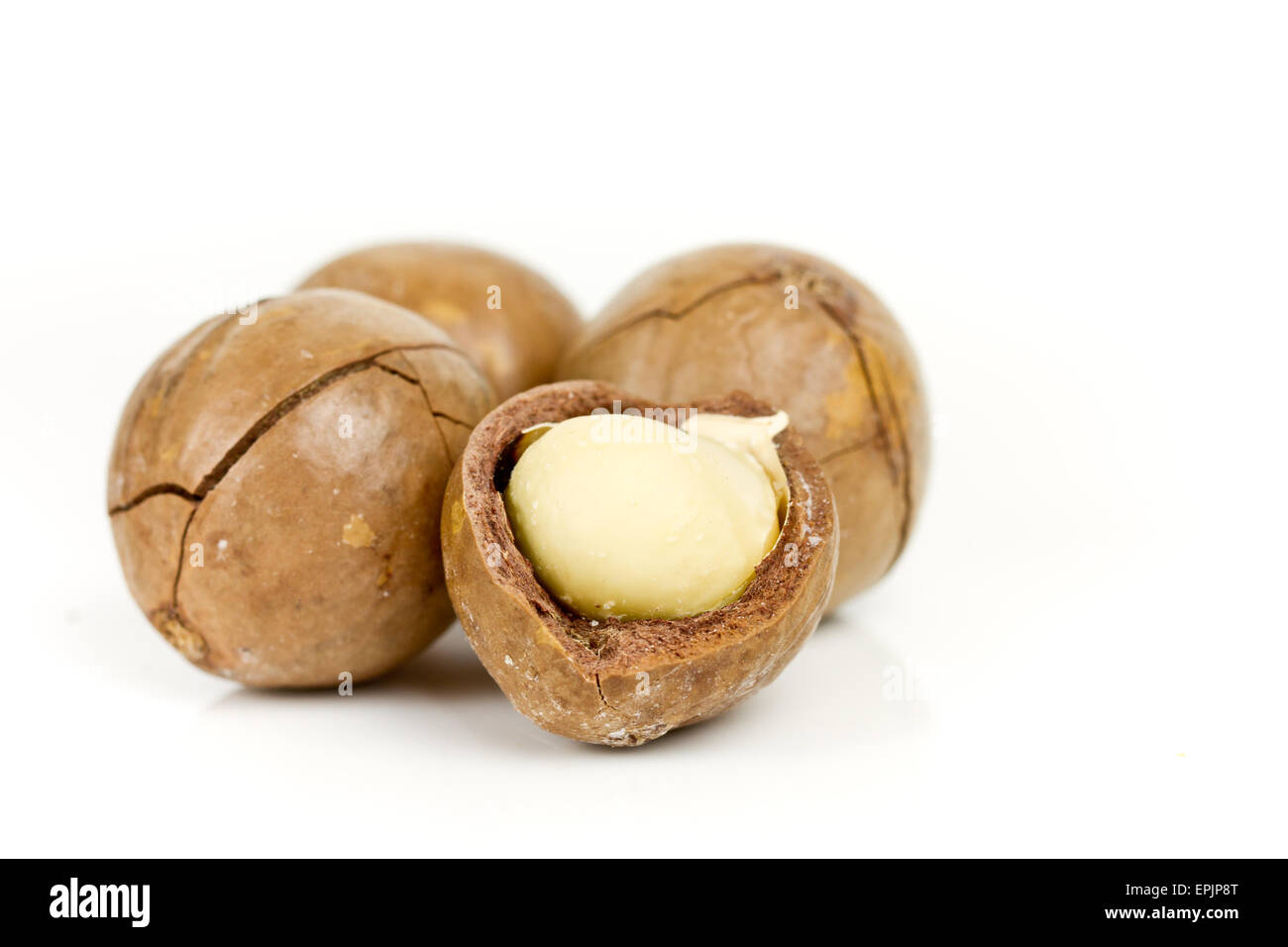 macadamia nuts Stock Photo