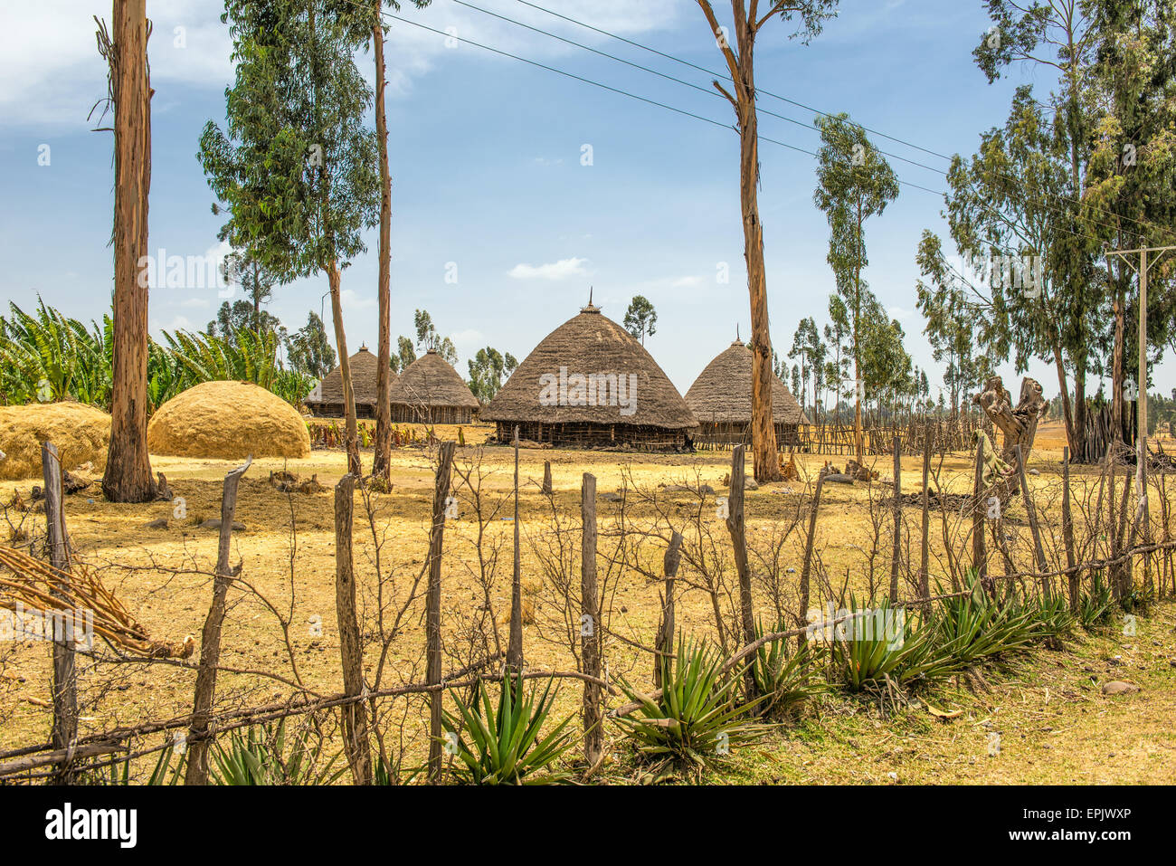 Traditional village houses near Addis Ababa, Ethiopia, Africa Stock Photo