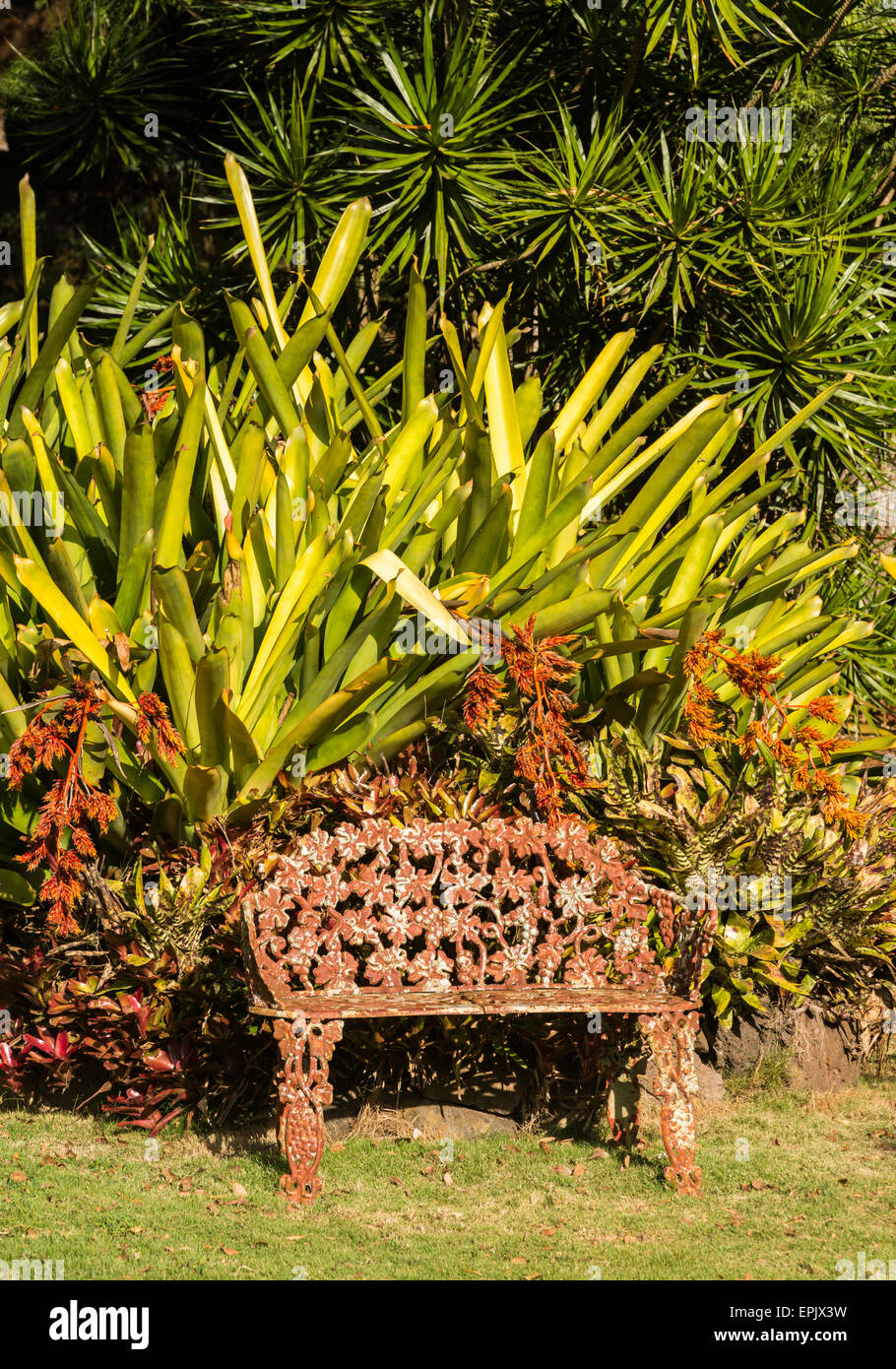 Tropical flowers overwhelm cast iron seat Stock Photo
