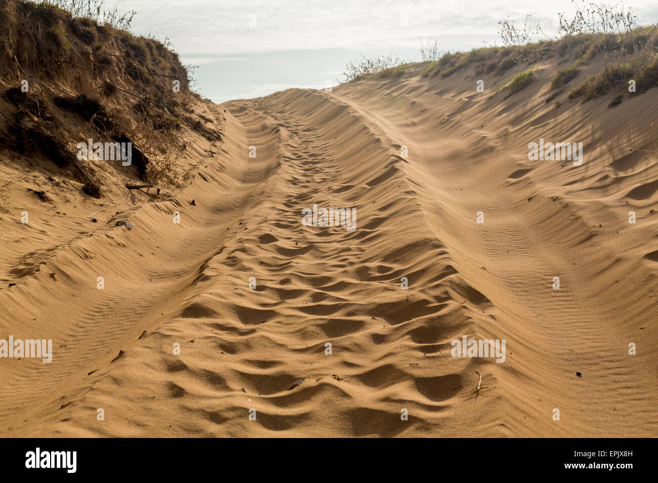 Tire tracks in sand dunes over hill Stock Photo Alamy