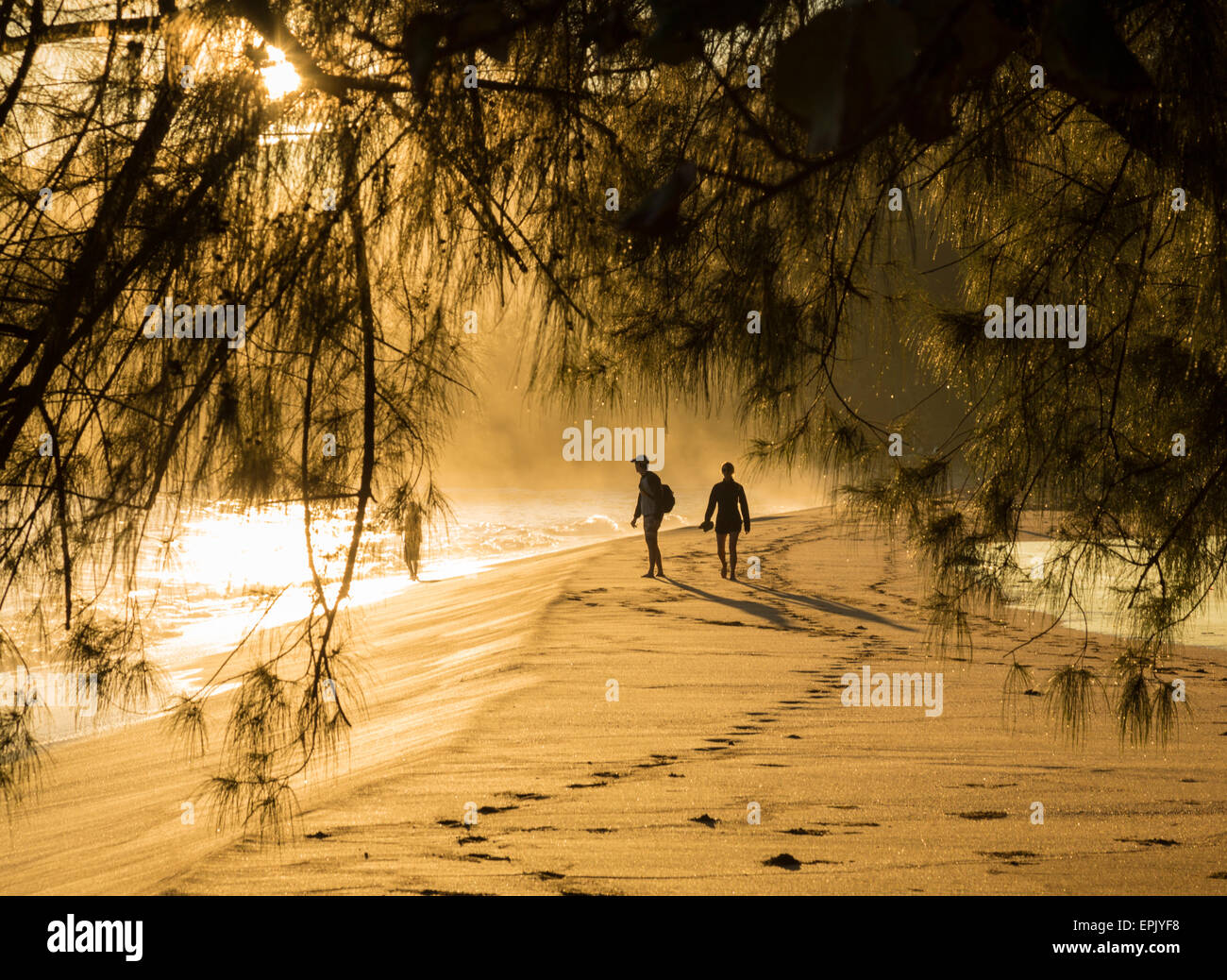 Couple walking on beach at dawn Stock Photo