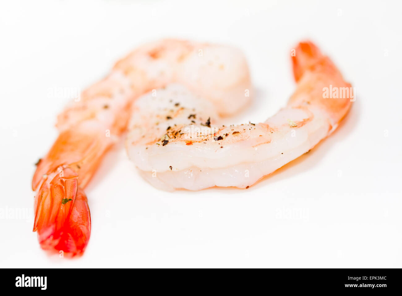 shrimp Stock Photo