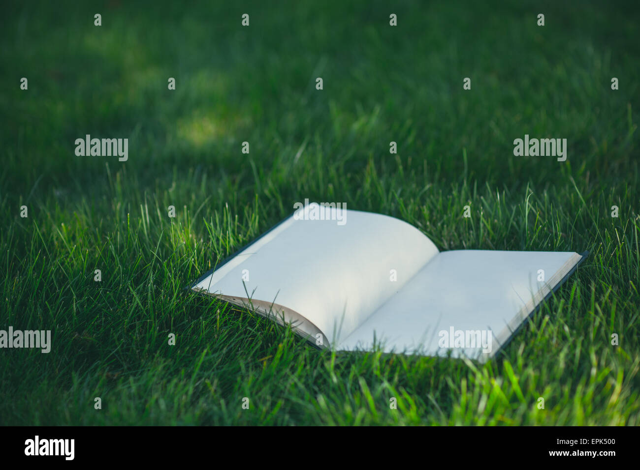 Concepts about education hi-res stock photography and images - Alamy
