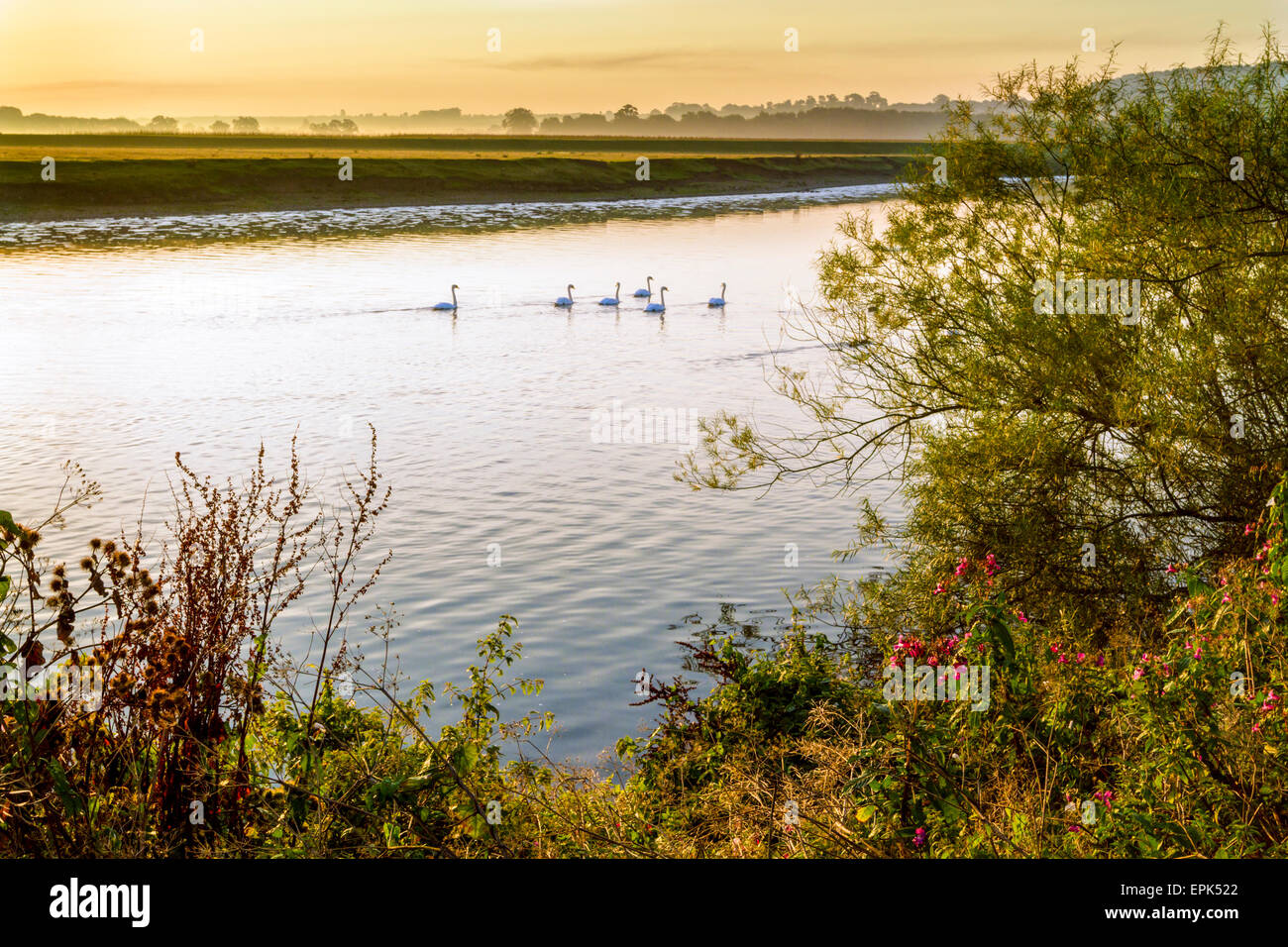 Dawn landscape. A misty sunrise over countryside and the River Trent at Stoke Bardolph, Nottinghamshire, England, UK Stock Photo