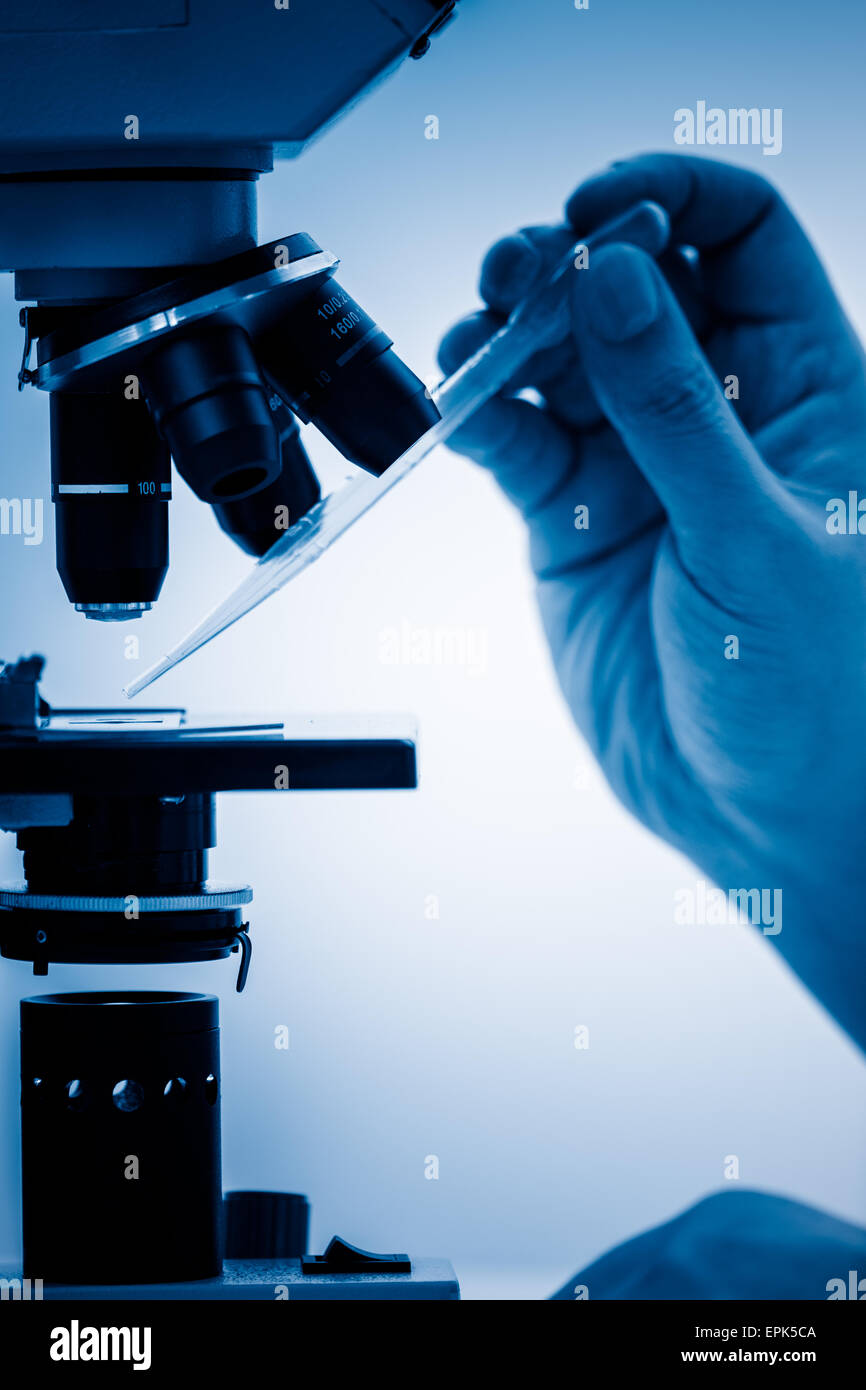 Working with Microscope Stock Photo Alamy