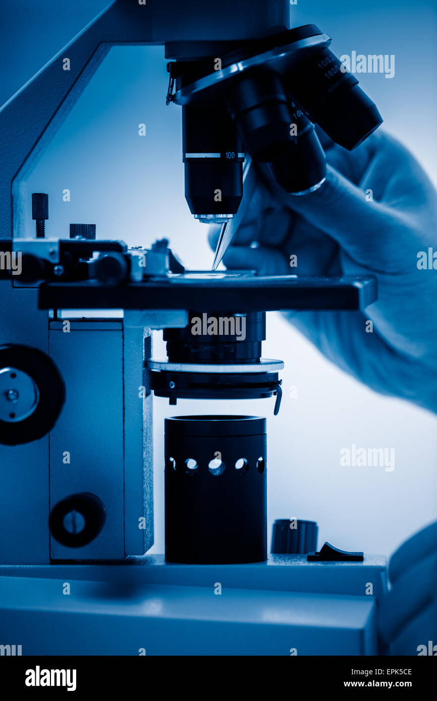 Working with Microscope Stock Photo Alamy