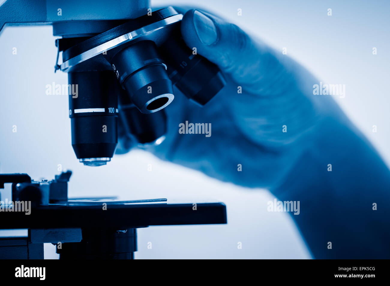 Working with Microscope Stock Photo Alamy